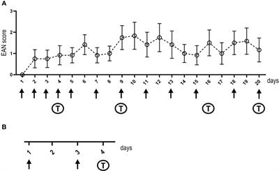 Different binding and pathogenic effect of neurofascin and contactin–1 autoantibodies in autoimmune nodopathies